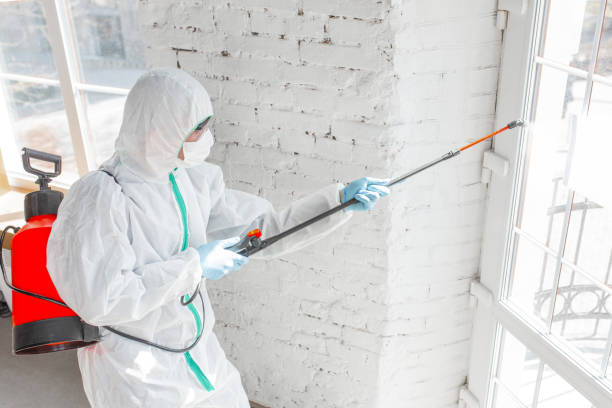 Mold Remediation for Vacation Homes